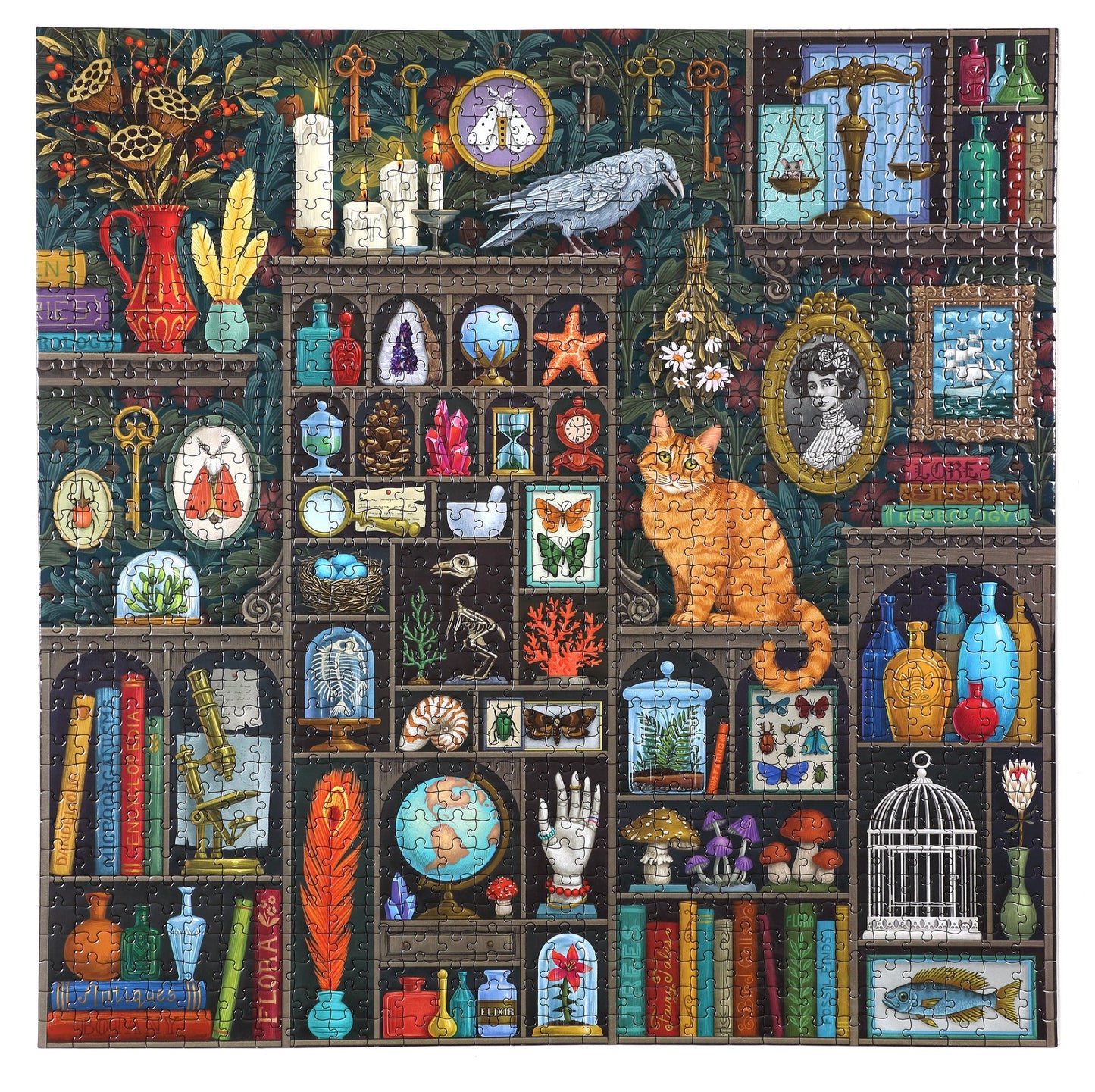 Alchemists Cabinet 1000 Piece Puzzle