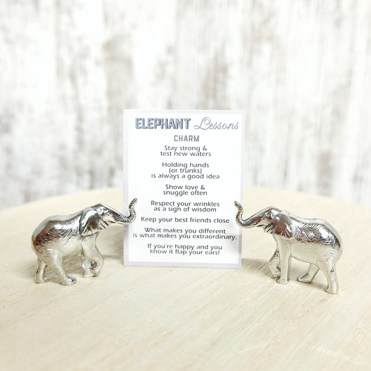 Elephant Lessons Charms